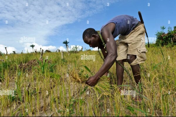 Death Threat…  80 years old farmer’s life at stake