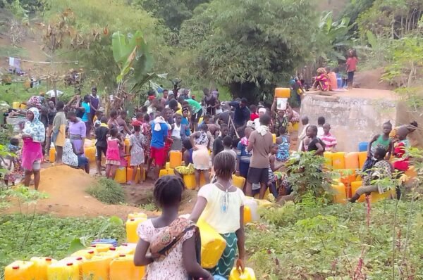 Weighing the catastrophic effects of Freetown’s forests depletion