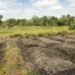 “We run farms to live,” -Admits teacher at Magborkoh village