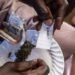 Kush manufacturer in High Court