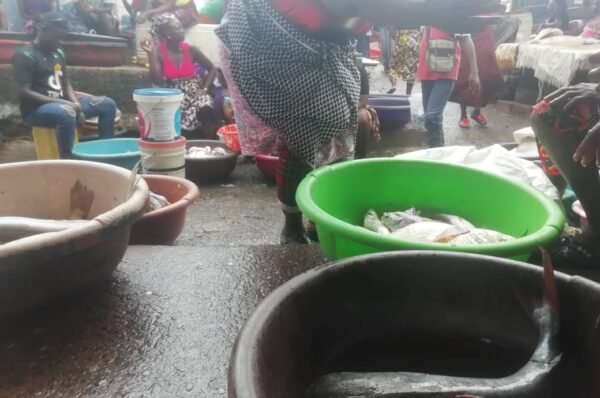 Free Quality Educ: children in fish-harbours!