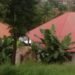 ‘Koya is backward’: resident bemoans 