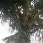 Hot Sun: Which Foods to Eat!