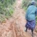 Is Nene Chiefdom the most perilous route in S/Leone?