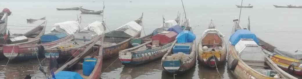 Tombo harbour, taken: July 19/Sat/2025