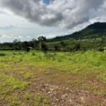 Business man on remand over land fraud