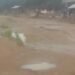 Kissy Town residents request gov’t for public buses