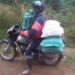 Bike rider goes down six months for stealing door