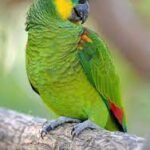 Principals deprive students!