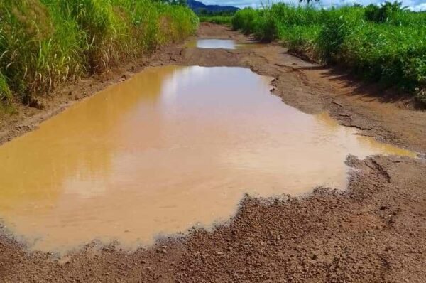 Kagboro appeals to fix Moyamba/Shenge Road