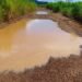Kagboro appeals to fix Moyamba/Shenge Road