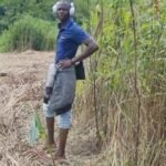 At Masingbi…  Youth bike riders’ proceeds go to land purchase